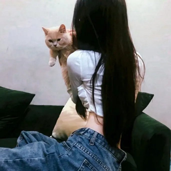 乱世美人